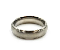 Gents Titanium 5mm Band with Brush Finish Size 10