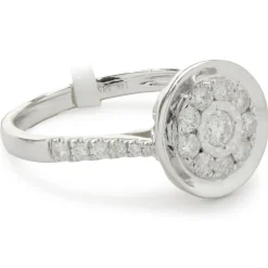 14 Karat White Gold Diamond Cluster with Mirror Halo