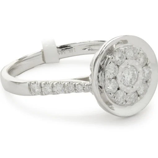 14 Karat White Gold Diamond Cluster with Mirror Halo