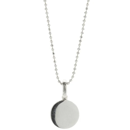 14 Karat White Gold Diamond F Disc Necklace