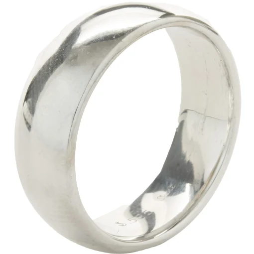 14 Karat White Gold 6.5MM Band