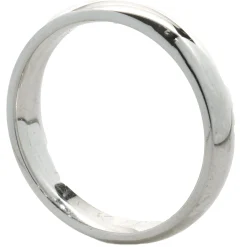 14 Karat White Gold 4MM Band