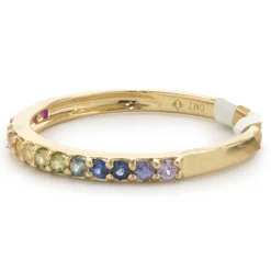 18 Karat Yellow Gold Rainbow Sapphire Band