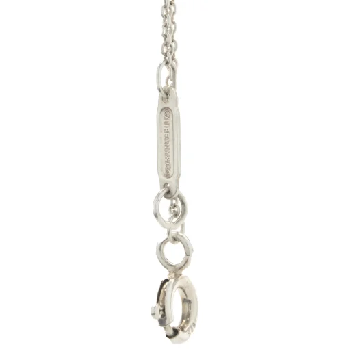 Tiffany & Co. Sterling Silver Chain